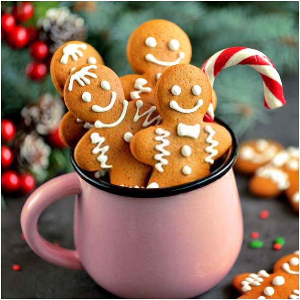 GINGERBREAD COOKIES WITH CHOCOLATE